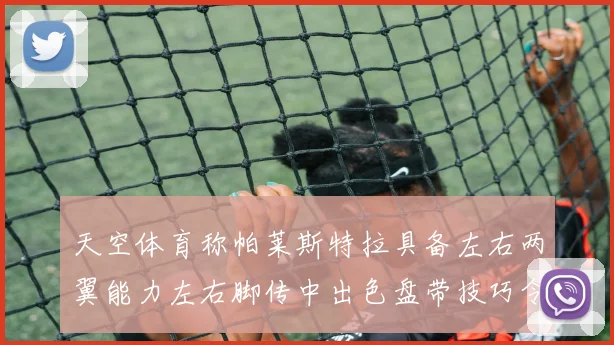 天空体育称帕莱斯特拉具备左右两翼能力左右脚传中出色盘带技巧令人赞叹